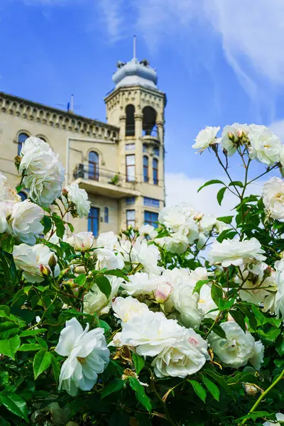 Bahçenin güzel çiçekleri
