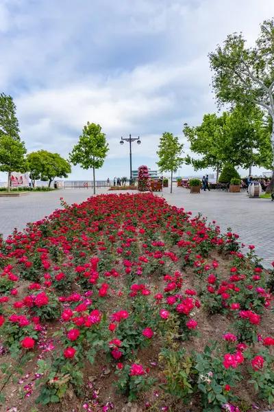 Yazın parkın şehri.