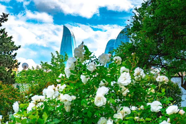 Arka planda çiçekler olan güzel bir park manzarası.