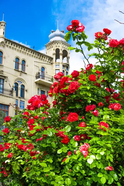 Prag sokaklarında güzel çiçekler