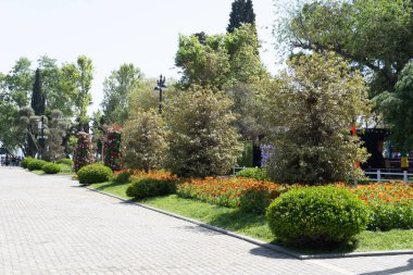 Şehir parkında bahar zamanı yakalandı..