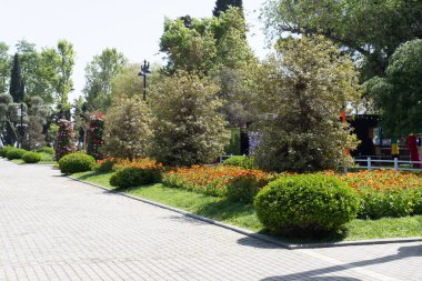 Şehir parkında bahar zamanı yakalandı..