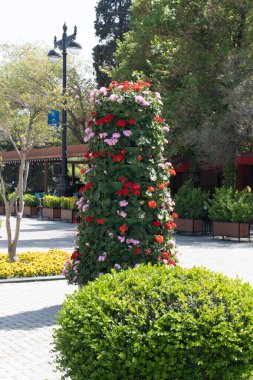 Şehir parkında bahar zamanı yakalandı..