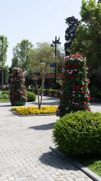 Şehir parkında bahar zamanı yakalandı..