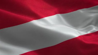 Avusturya 'nın vatansever kumaş bayrağını sallayarak