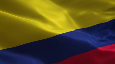 Kolombiya 'nın vatansever kumaş bayrağını sallayarak 