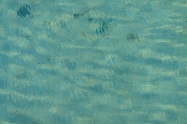 Turkuaz havuz suyunda yaz yaprakları. Su dokusu.