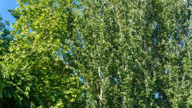 Fotoğraf Bakü, Azerbaycan 'da çekildi..