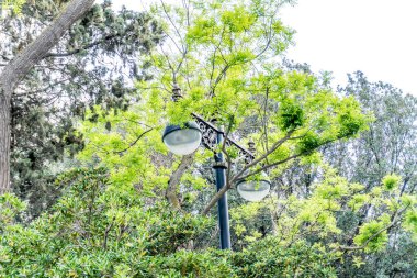 Parkın güzel manzarası