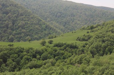 Doğanın güzel manzarası