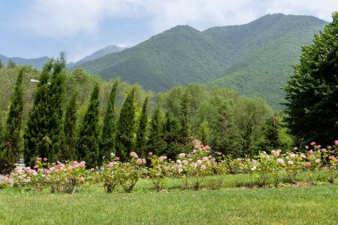 Sheki, Azerbaycan 'ın turizm potansiyeli. Seyahat ve tatil konsepti.
