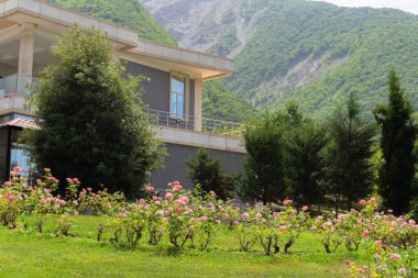 Sheki, Azerbaycan 'ın turizm potansiyeli. Seyahat ve tatil konsepti.