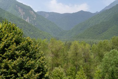 Seyahat ve turizm konsepti. Fotoğraf Sheki 'nin turizm potansiyelini anlatıyor. Sheki, Azerbaycan. 07.22.2025.