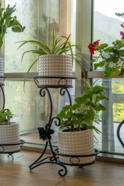 Saksılar ve saksılar balkonda.