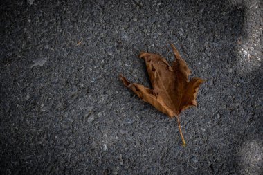 Seyahat ve turizm konsepti. Fotoğraf Sheki 'nin turizm potansiyelini anlatıyor. Sheki, Azerbaycan. 07.22.2025.