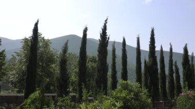 Sheki bölgesinin seyahat ve turizm potansiyeli. Tatil ve konukseverlik kavramı.