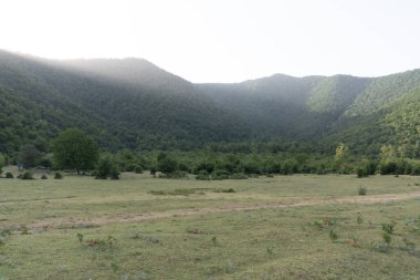 Ukrayna Karpatları 'nın dağları. hava aracı görünümü.