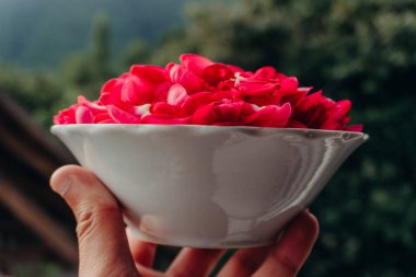 Masadaki beyaz kupada kırmızı gül.