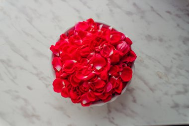 Vazoda kırmızı gül