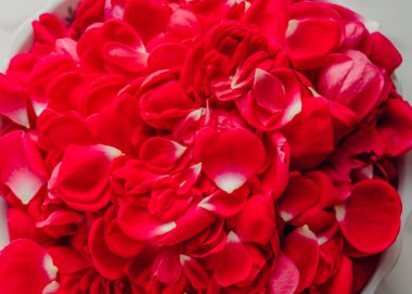 gül yaprakları kalp şeklinde