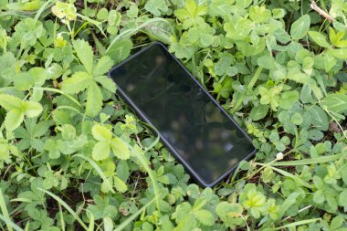 Kırsal kesimde, kırsal kesimde hayat. Doğa ve sükunet.