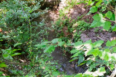 Kırsal kesimde, kırsal kesimde hayat. Doğa ve sükunet.