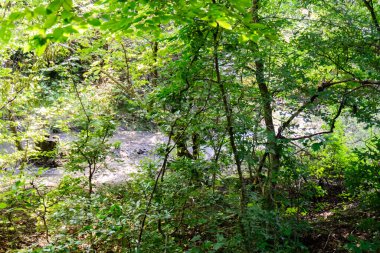 Kırsal kesimde, kırsal kesimde hayat. Doğa ve sükunet.