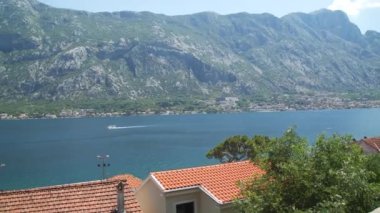 Herceg Novi Karadağ 'daki Kotor Körfezi' nde sürat tekneleri