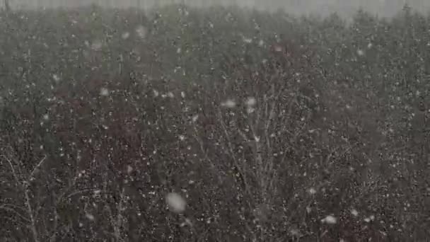 Nevicate Sulla Città Inverno Rallentatore — Video Stock
