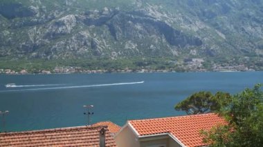 Herceg Novi Karadağ 'daki Kotor Körfezi' nde sürat tekneleri