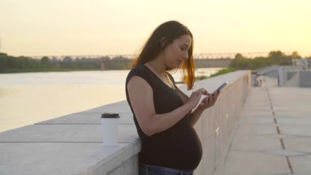Joven Mujer Embarazada Usando Teléfono Inteligente Pie Parque Atardecer — Vídeo de stock