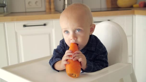 Glückliches Baby Das Hochstuhl Einer Weißen Küche Möhren Isst Gesunde — Stockvideo