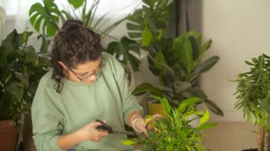 Hobi ve iç konsept. Genç İspanyol kadın ev bitkileriyle ilgileniyor, bahçe işleriyle uğraşıyor.