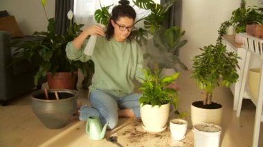 Hobi ve iç konsept. Genç İspanyol kadın ev bitkileriyle ilgileniyor, bahçe işleriyle uğraşıyor.