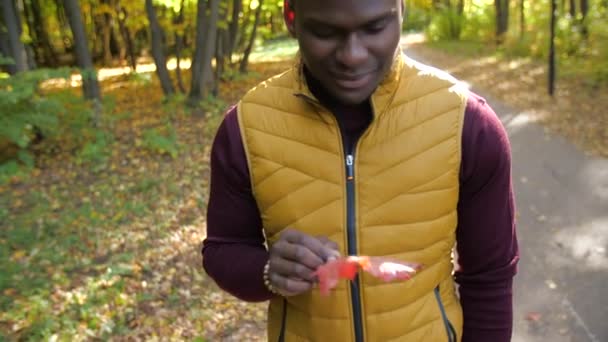 Piękny Jesienny Pomysł Uśmiechnięty Afrykanin Czerwonym Liściem Klonu Parku Europejskim — Wideo stockowe