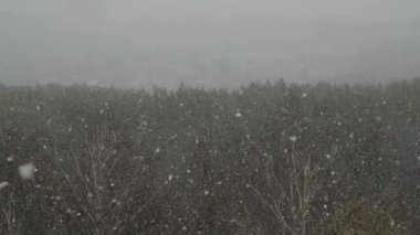 Kış aylarında şehre kar yağar.