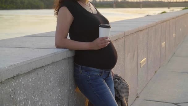 Koncepcja Macierzyństwa Ciąży Sylwetka Kobiety Ciąży Zachodzie Słońca — Wideo stockowe