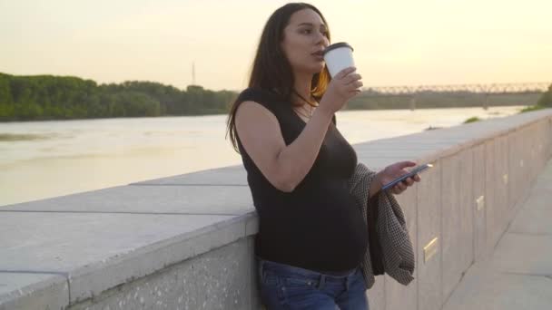 Moederschap Zwangerschap Concept Silhouet Van Zwangere Vrouw Bij Zonsondergang — Stockvideo