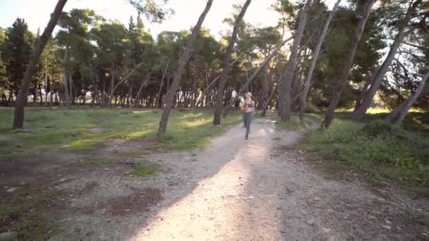 公園をジョギングするボディプラスサイズの女性アスリート 減量とアクティブライフスタイルの概念 — ストック動画
