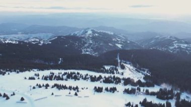 Sırbistan 'daki Kopaonik kayak merkezinin panoraması. Kopaonik Ulusal Parkı, dağlarda kış manzarası, karla kaplı kozalaklı orman