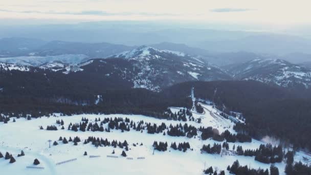 塞尔维亚Kopaonik滑雪胜地的全景 Kopaonik国家公园 山中的冬季风景 针叶林被雪覆盖 — 图库视频影像