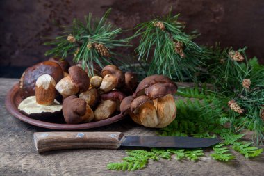 Sonbahar kompozisyonu boletus badius, imleria badia veya bay bolete mantarları, mantarlı kil tabağı ve çam ağacının yeşil dallı ve eğreltiotu yapraklı klasik ahşap arka planda bıçak. Yenilebilir ve gözenekli mantarların kadife rengi koyu kahverengi veya açık kahverengi renkleri vardır.