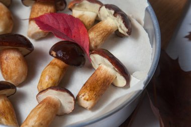 Boletus Badius, Imleria Badia ya da Bay Bolete mantarları ile birlikte ahşap kesme tahtasının üzerinde kurutulmaya hazır ve canlı sonbahar yapraklarının sonbahar kompozisyonu. Yenilebilir ve gözenekli mantarların kadife rengi kahverengi veya kestane rengi başlıkları vardır.