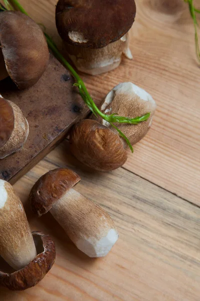 森林可食蘑菇的作物 在精选的野生香菇 Cep Porcino或King Bolete 通常被称为Boletus Naquis 带有蘑菇的柳条筐和野生葡萄绿叶堆中 有选择地关注美丽的香菇 — 图库照片
