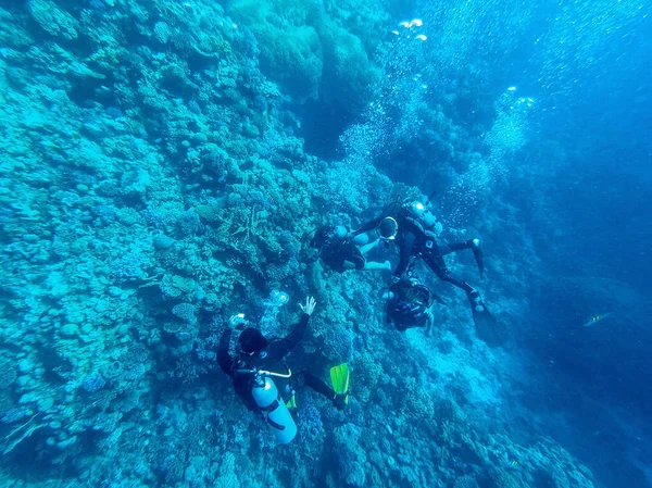 Dykare Dykare Utforska Korallrev Tropiska Havet Undervattensliv Rev Med Koraller Royaltyfria Stockfoton