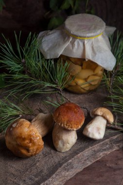 Yenebilir orman mantarları. Genellikle Boletus Edulis olarak adlandırılan üç porcini mantarı (Sepet, porcino veya kral bolete) ve çam ağacı dallı eski ahşap arka planda konserve mantarlı cam kavanozdan oluşmaktadır.