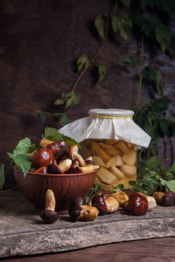 Sonbahar kompozisyonu boletus badius, imleria badia ya da bay bolete, mantarlı kil kasesi ve konserve mantarı klasik ahşap arka planda ve sırtında yeşil sarmaşık yaprağı. Yenilebilir ve gözenekli mantarların kadife rengi kahverengi veya kestane rengi kolları vardır.