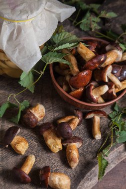 Sonbahar kompozisyonu boletus badius, imleria badia ya da bay bolete, mantarlı kil kasesi ve konserve mantarı klasik ahşap arka planda ve sırtında yeşil sarmaşık yaprağı. Yenilebilir ve gözenekli mantarların kadife rengi kahverengi veya kestane rengi kolları vardır.