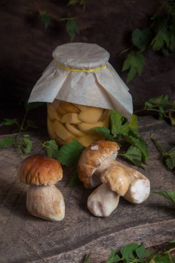 Yenebilir orman mantarları. Porcini mantar kompozisyonu (Sepet, porcino veya kral bolete, genellikle Boletus Edulis olarak adlandırılır) ve yeşil sarmaşık yapraklı ahşap arka planda konserve mantarlı cam kavanoz