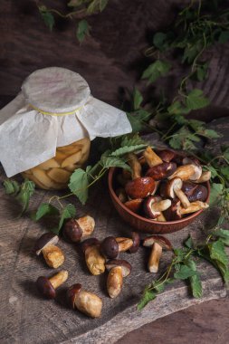 Sonbahar kompozisyonu boletus badius, imleria badia ya da bay bolete, mantarlı kil kasesi ve konserve mantarı klasik ahşap arka planda ve sırtında yeşil sarmaşık yaprağı. Yenilebilir ve gözenekli mantarların kadife rengi kahverengi veya kestane rengi kolları vardır.